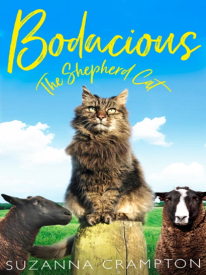 cover image of Boadacious the Shepherd Cat